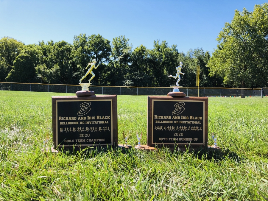 trophies sitting in the grass